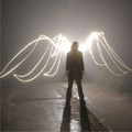 images/avatars/avatar-111.gif
